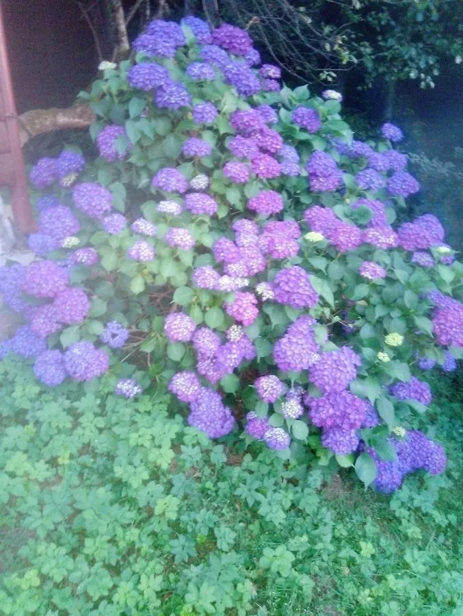 Brod na Kupi Holiday Home Vesna