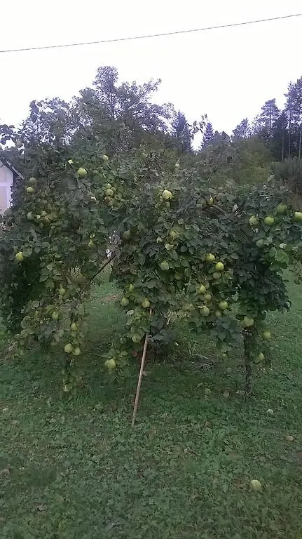 Brod na Kupi Holiday Home Vesna Brod na Kupi