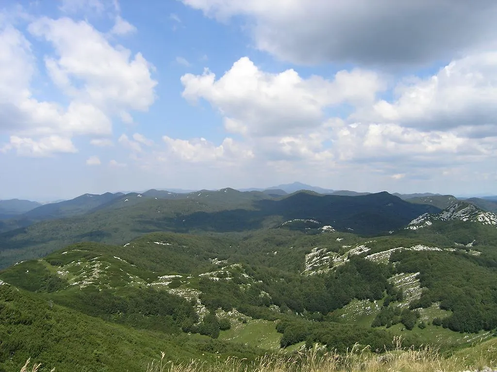 Brod na Kupi Holiday Home Vesna