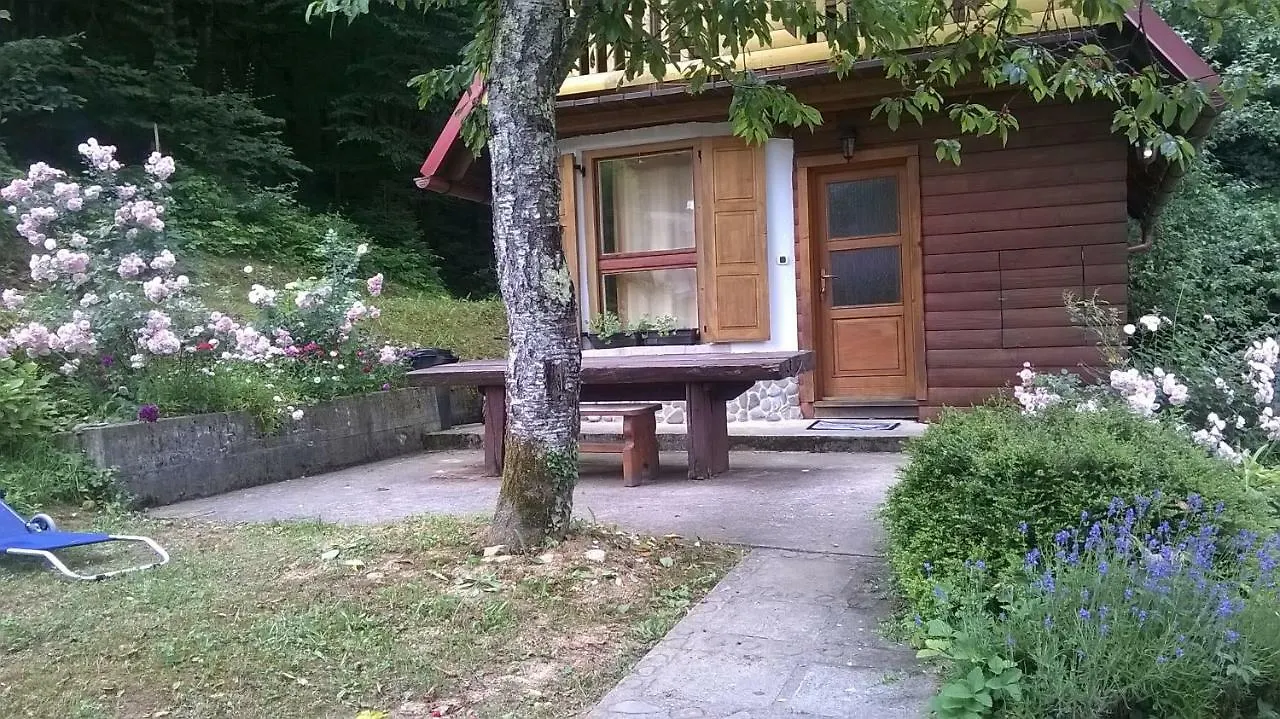 Brod na Kupi Holiday Home Vesna